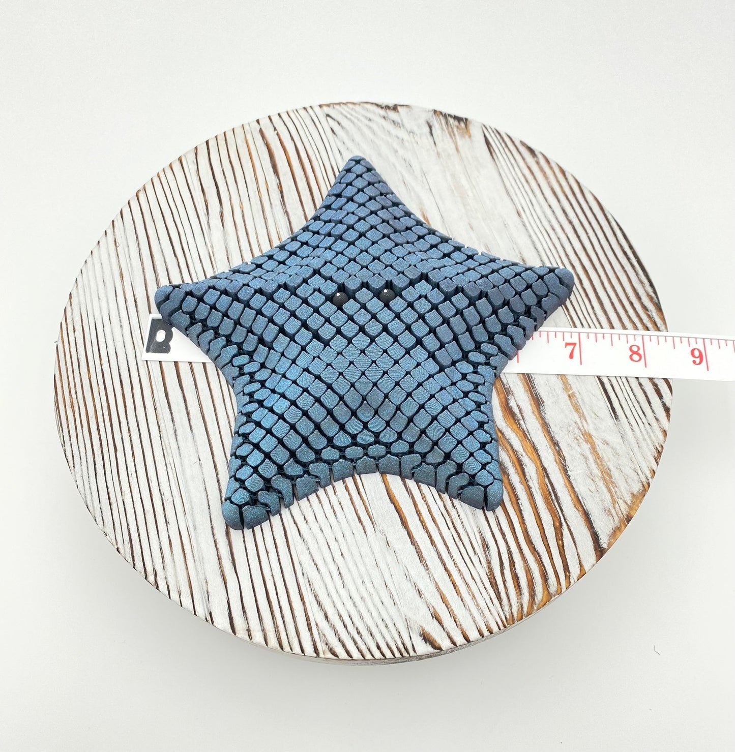 Starfish Betsie, the Bat Sea Starfish