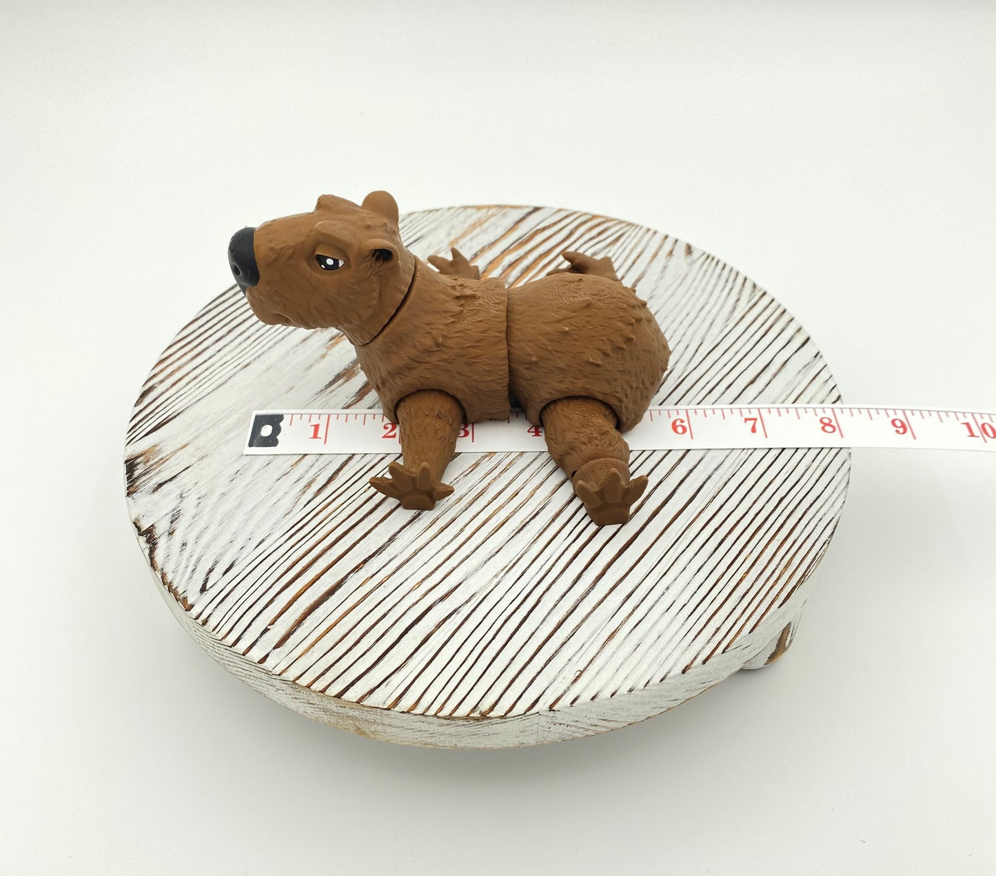 Capybara!!