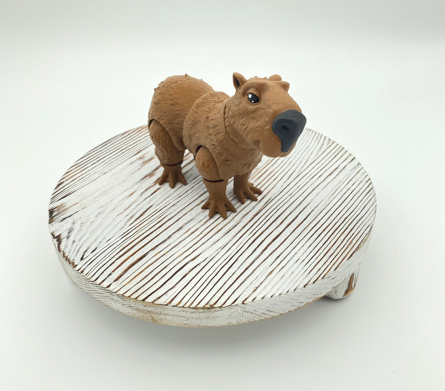 Capybara!!
