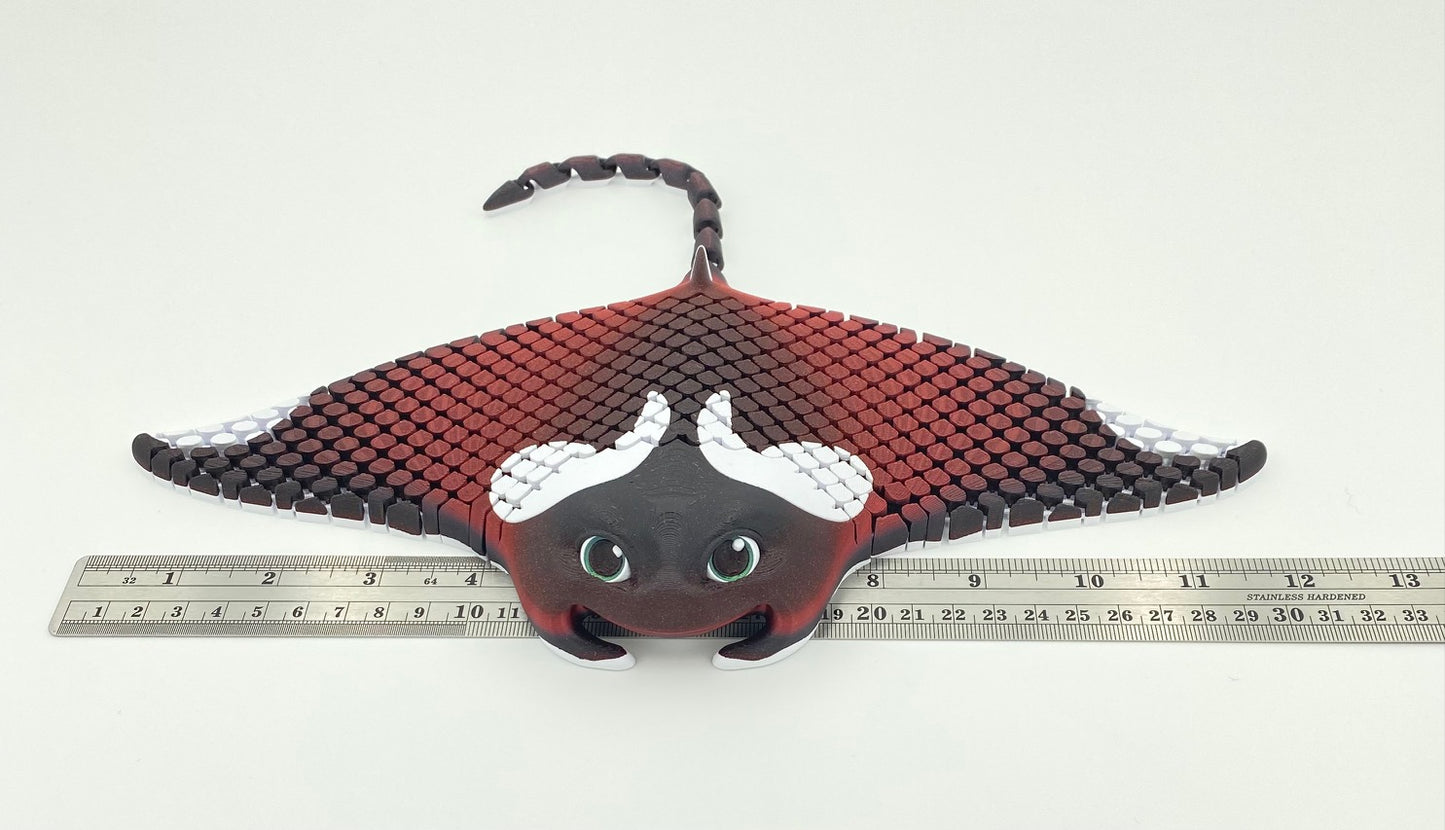 Manta Ray, Manny