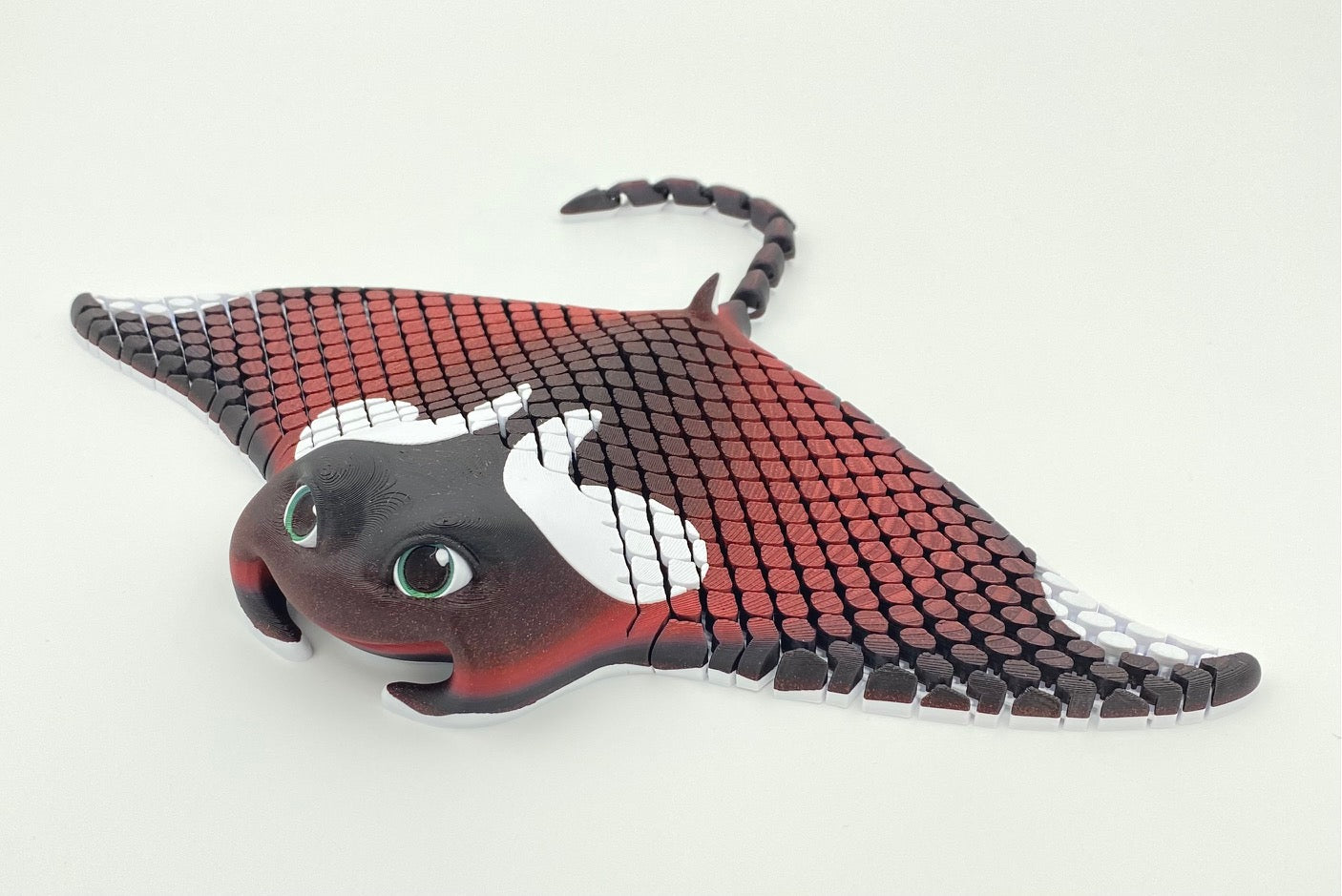 Manta Ray, Manny