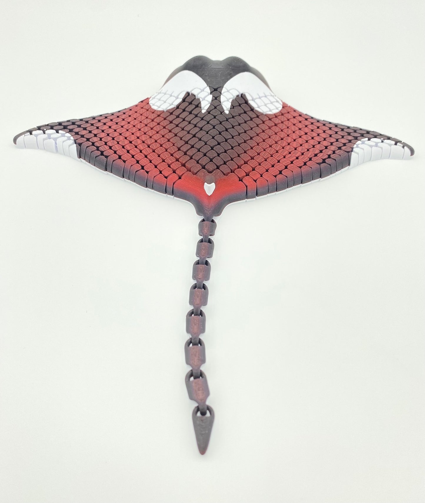 Manta Ray, Manny