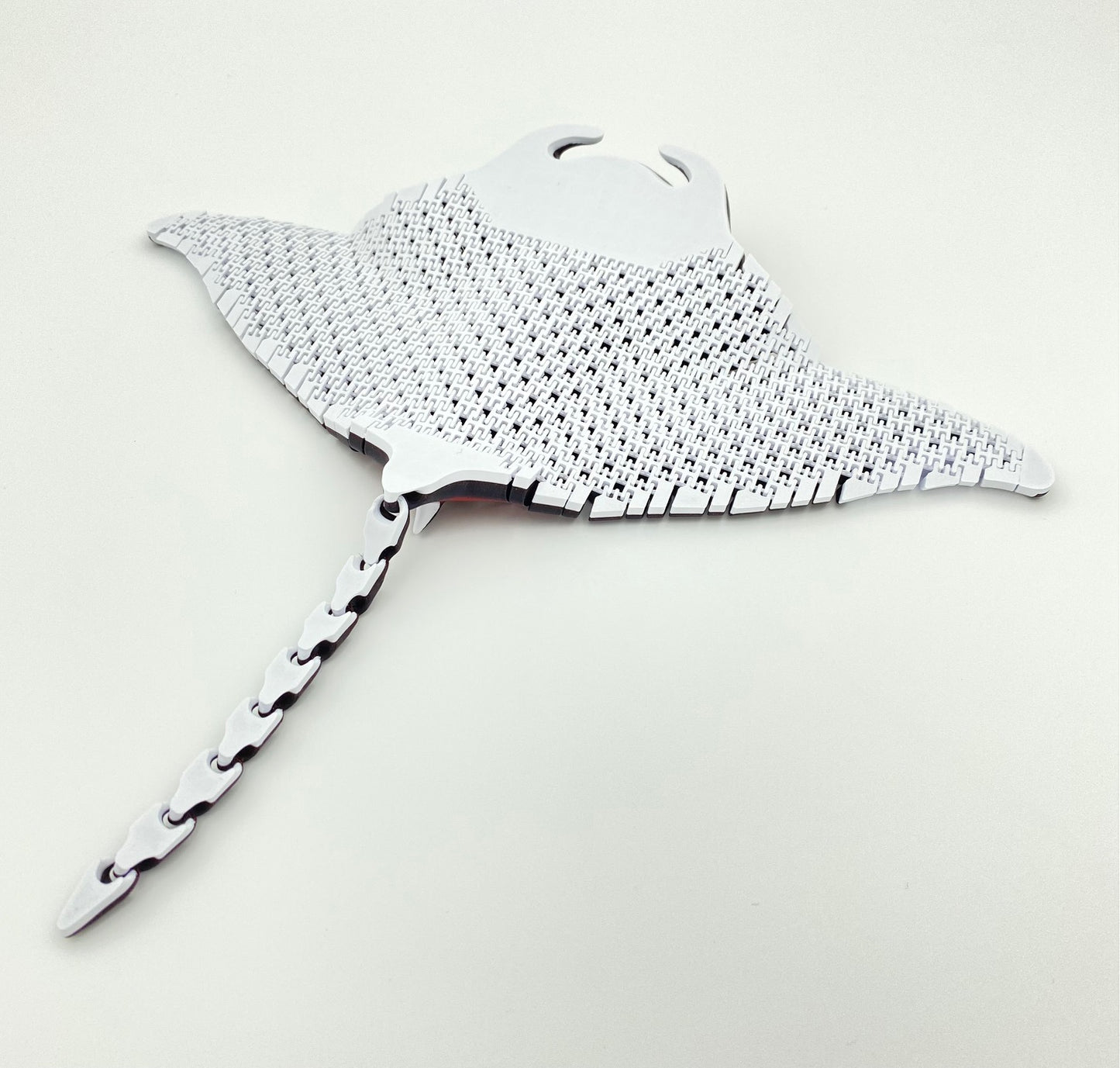 Manta Ray, Manny