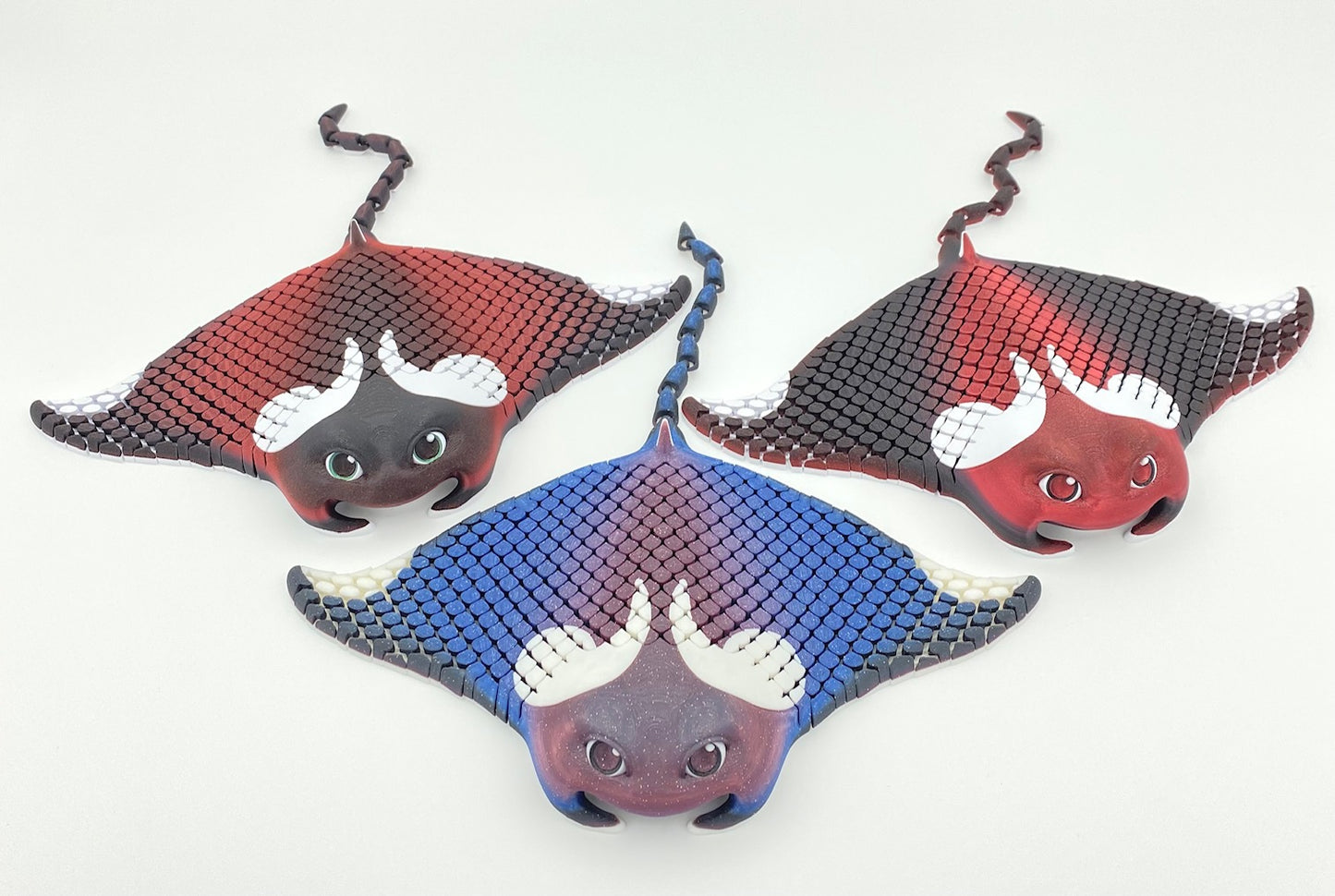 Manta Ray, Manny