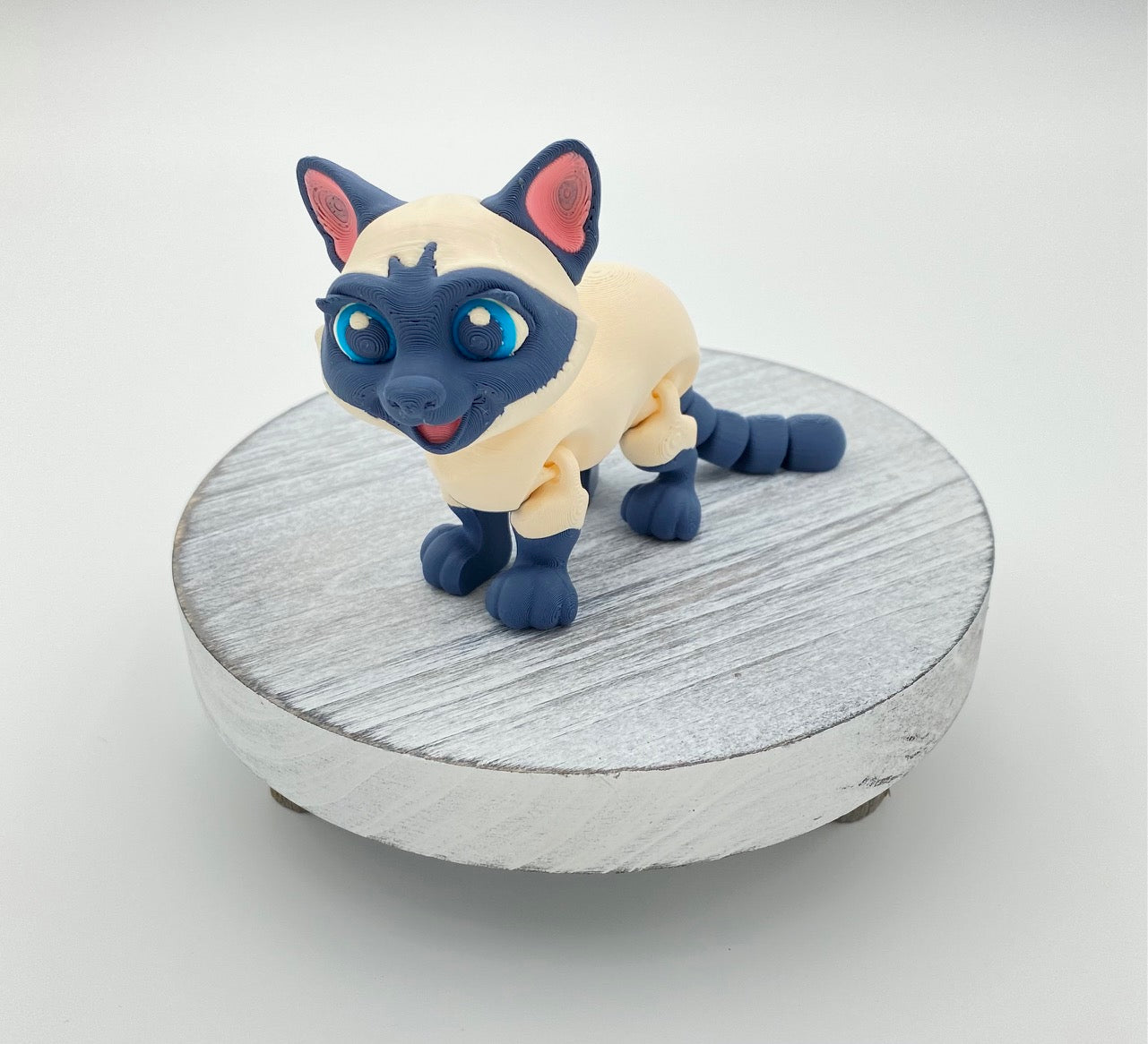 Siamese Cat