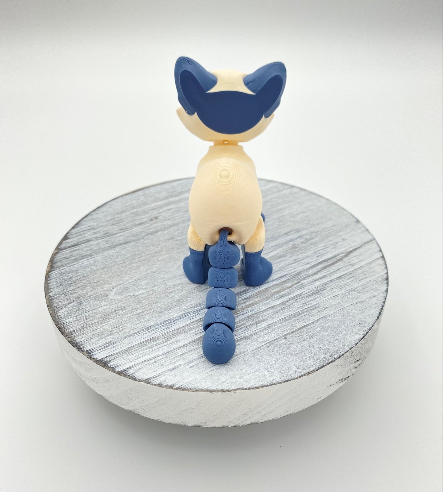 Siamese Cat
