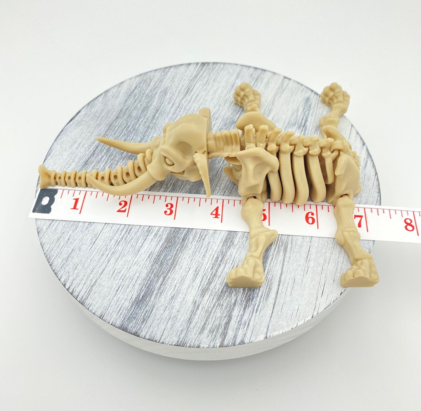 Skeletal Elephant