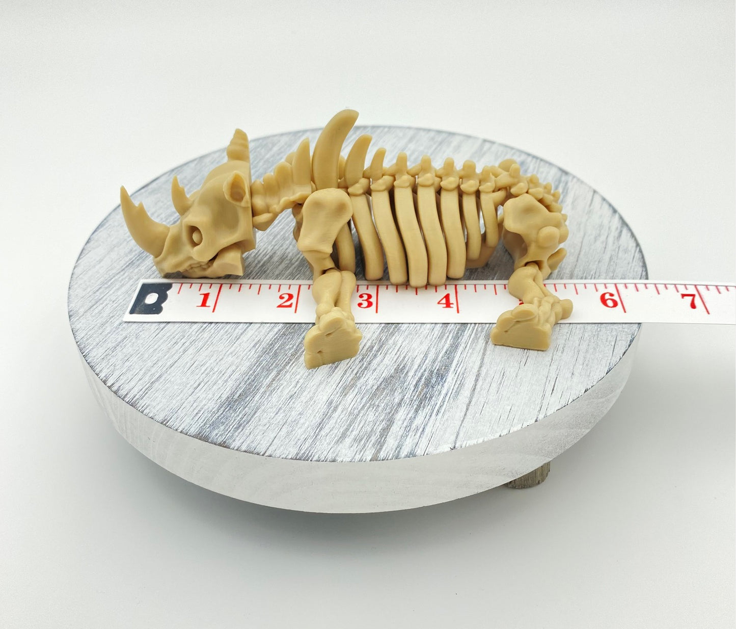Skeletal Rhino