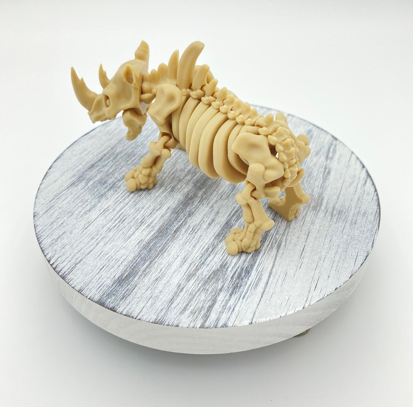 Skeletal Rhino