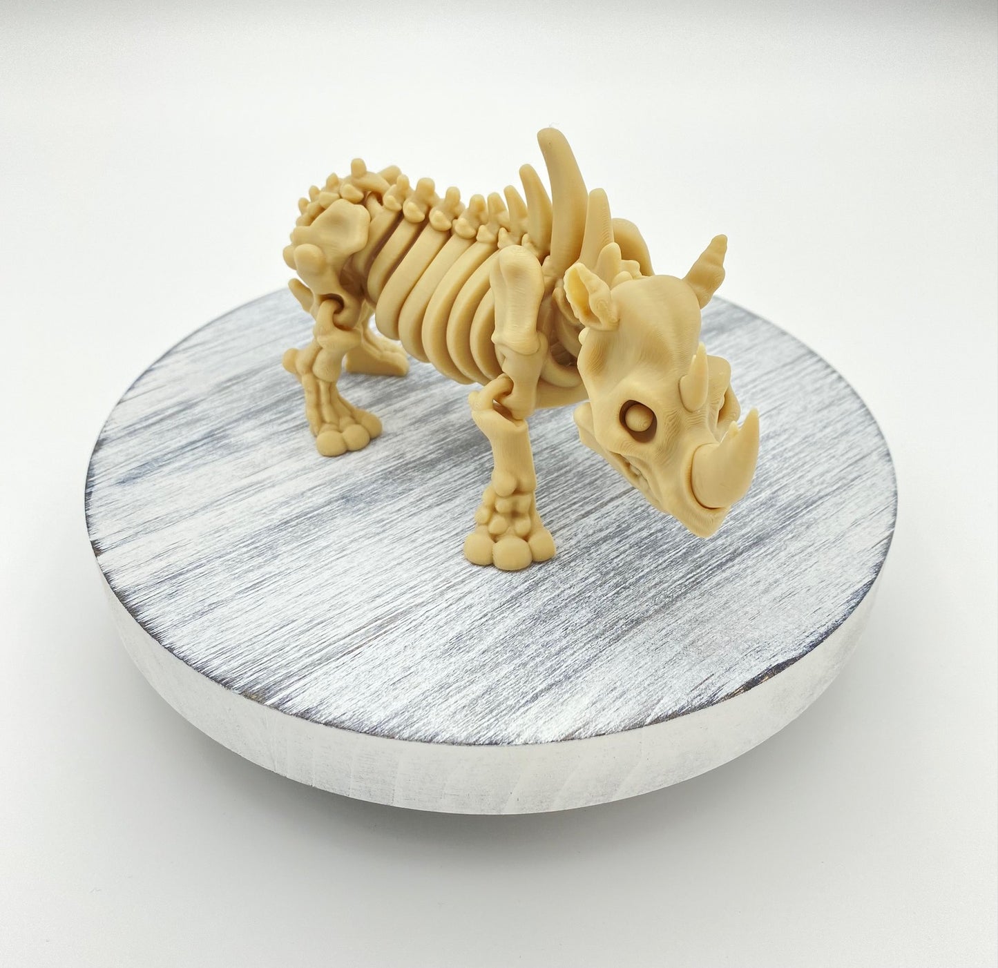 Skeletal Rhino