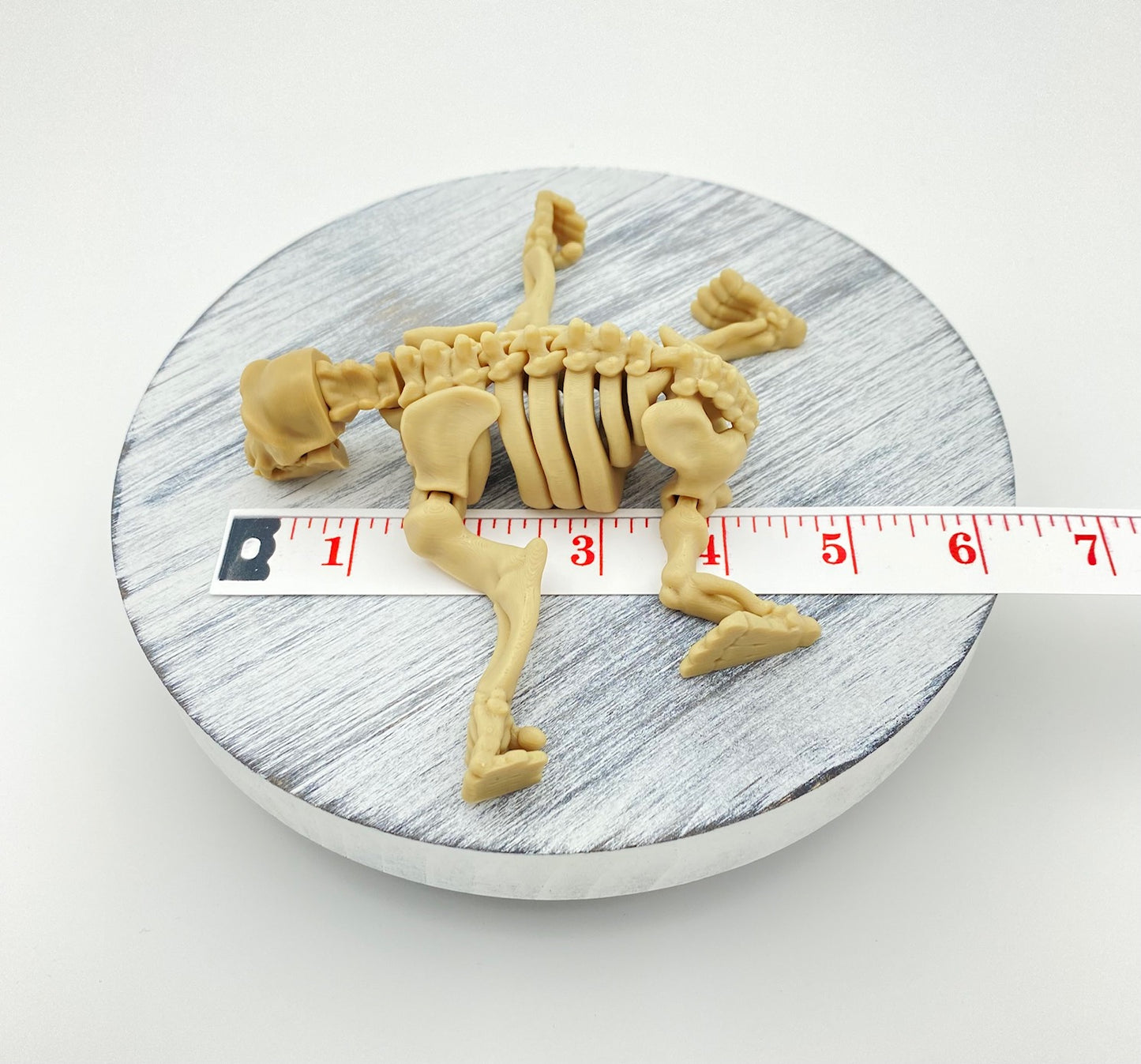 Skeletal Chimp