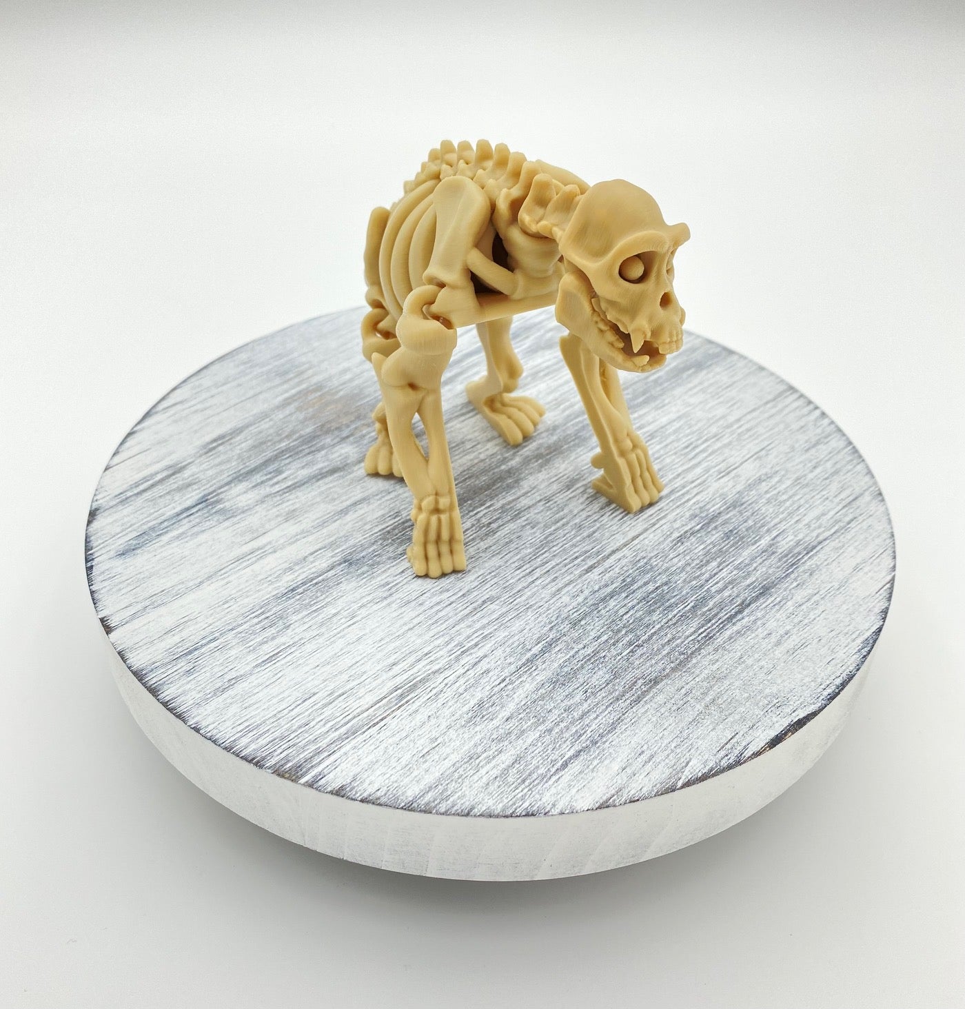 Skeletal Chimp