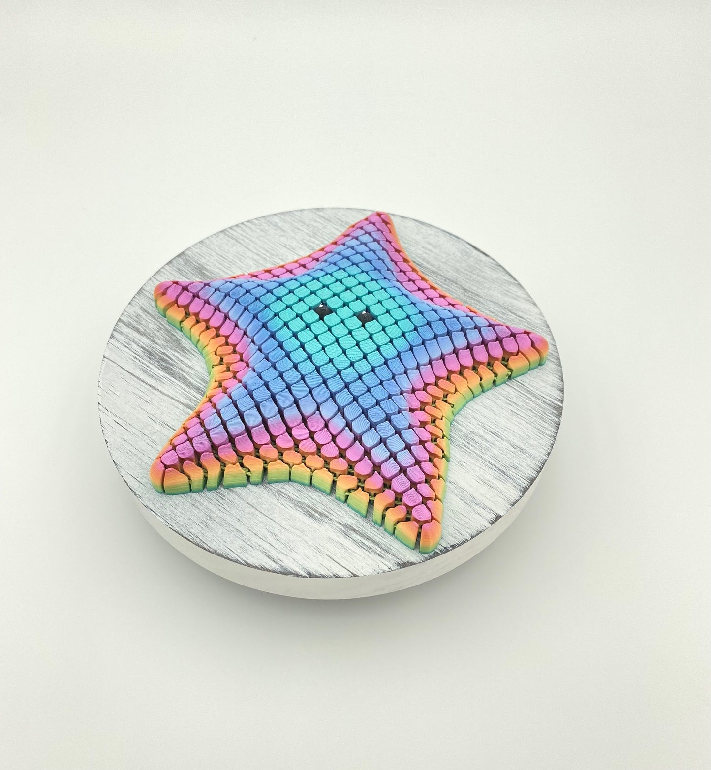 Starfish Betsie, the Bat Sea Starfish