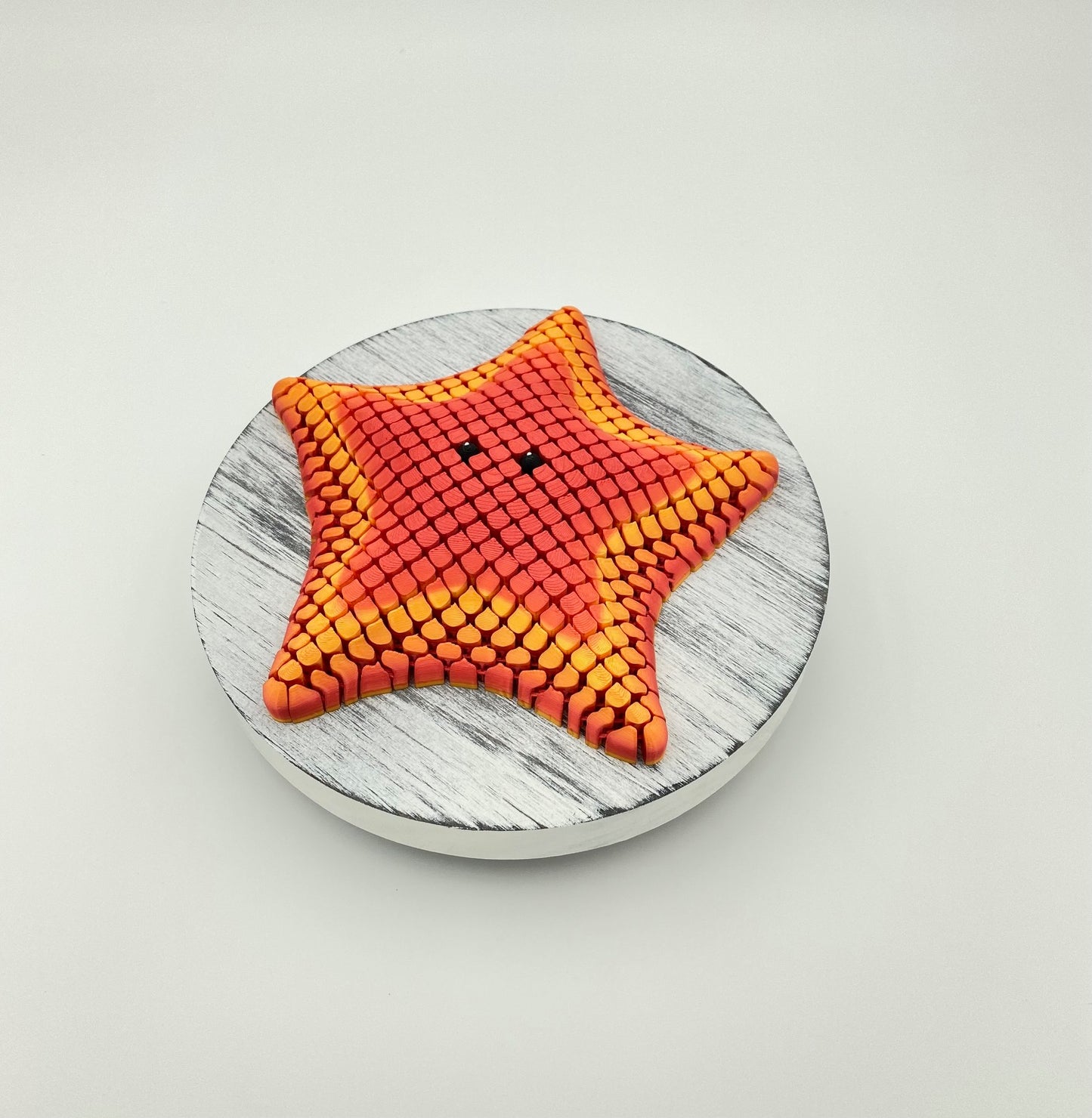 Starfish Betsie, the Bat Sea Starfish