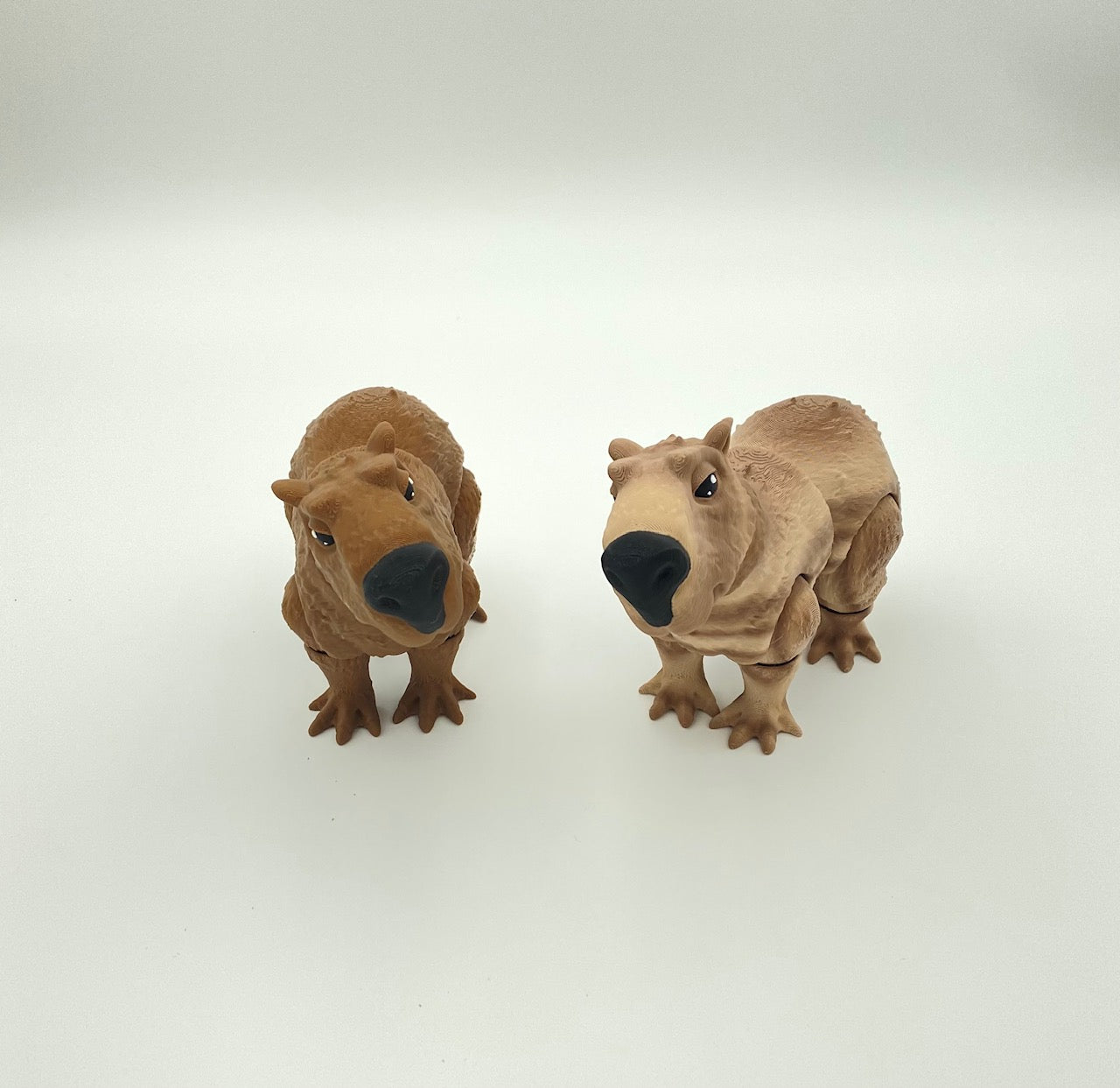 Capybara!!