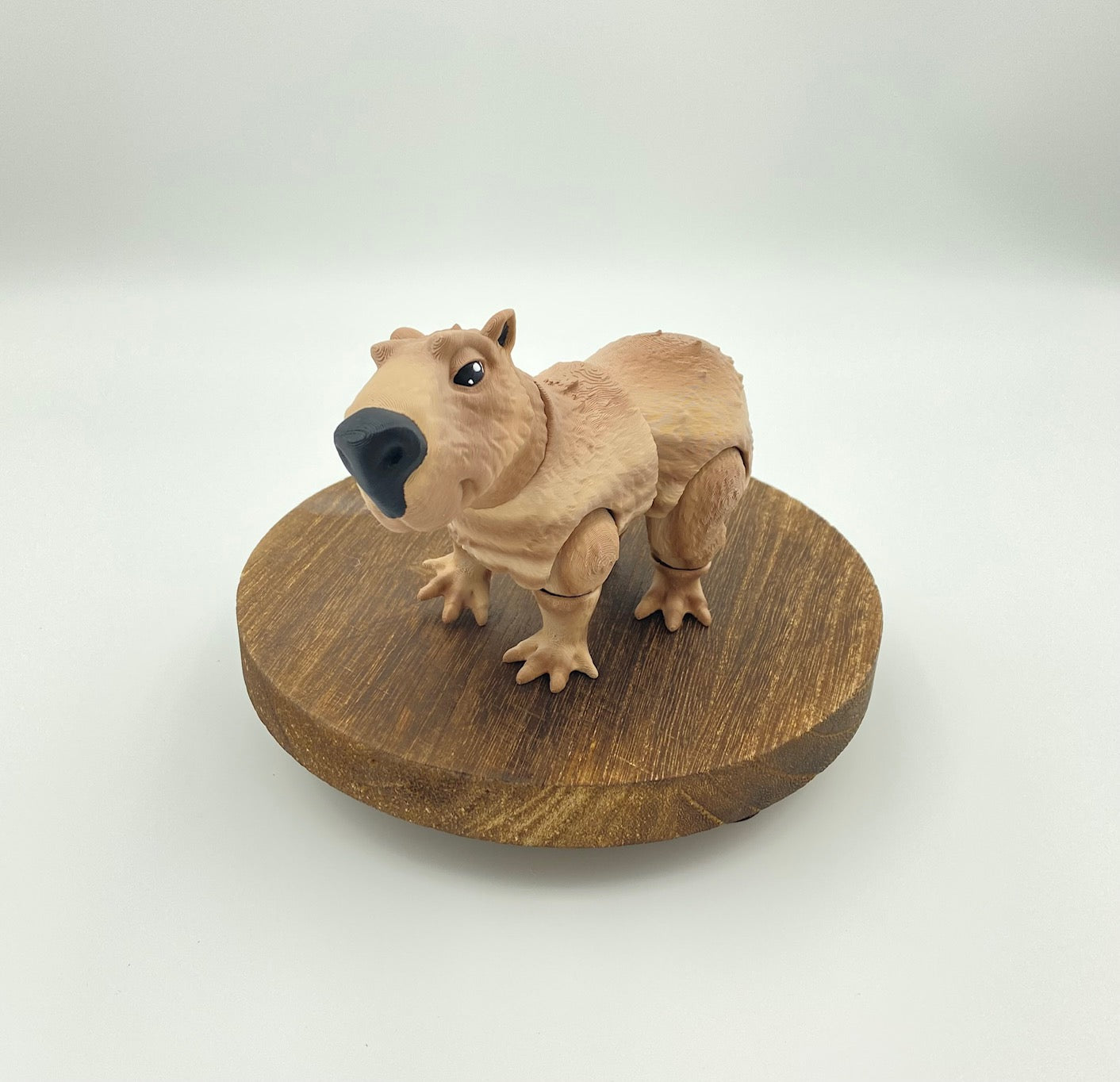 Capybara!!
