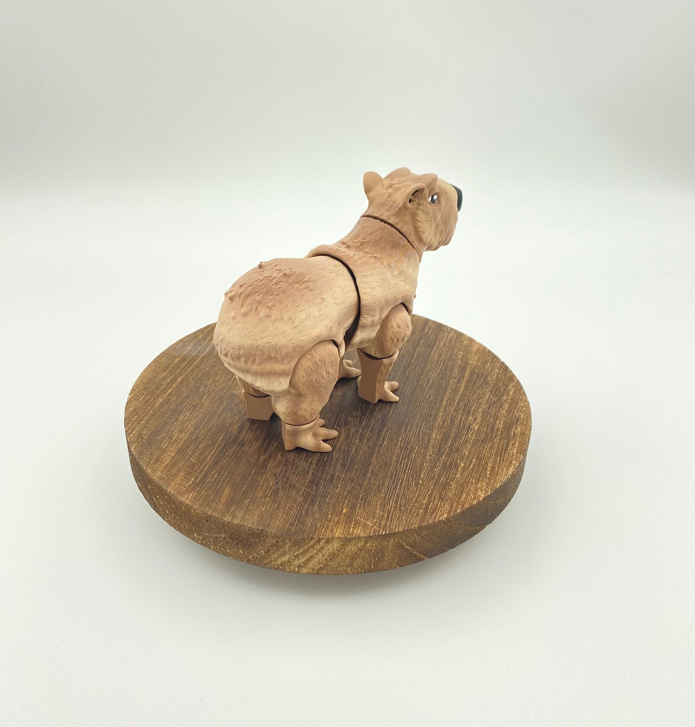 Capybara!!