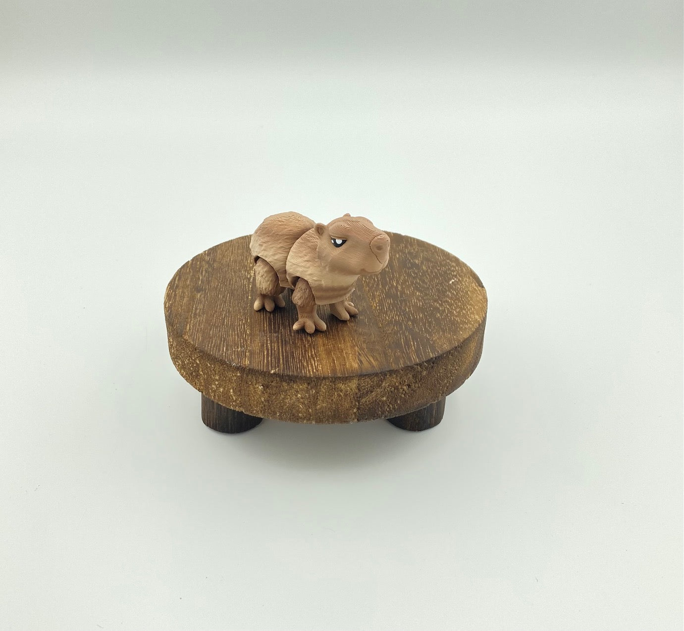 Capybara Mini