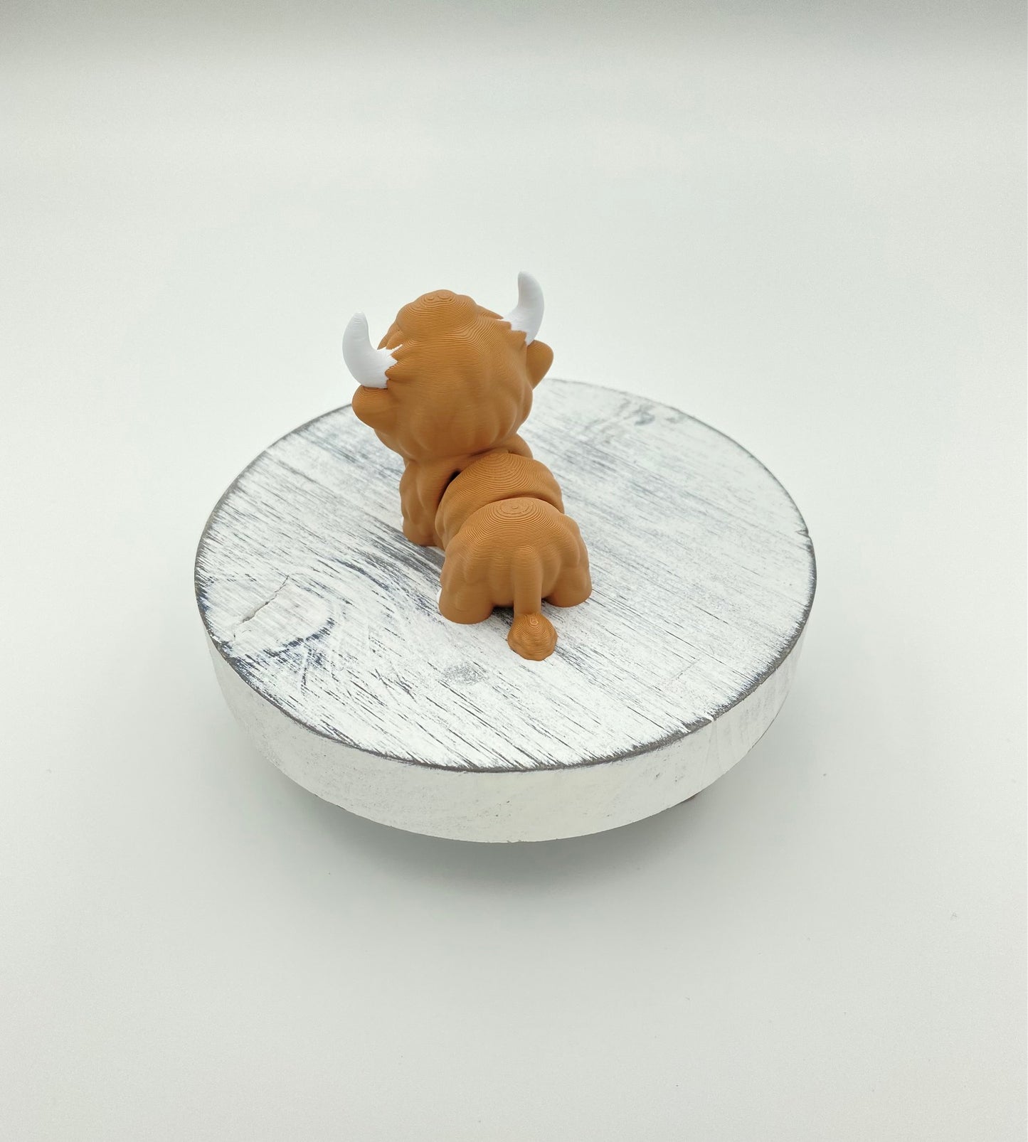 Highland Cow