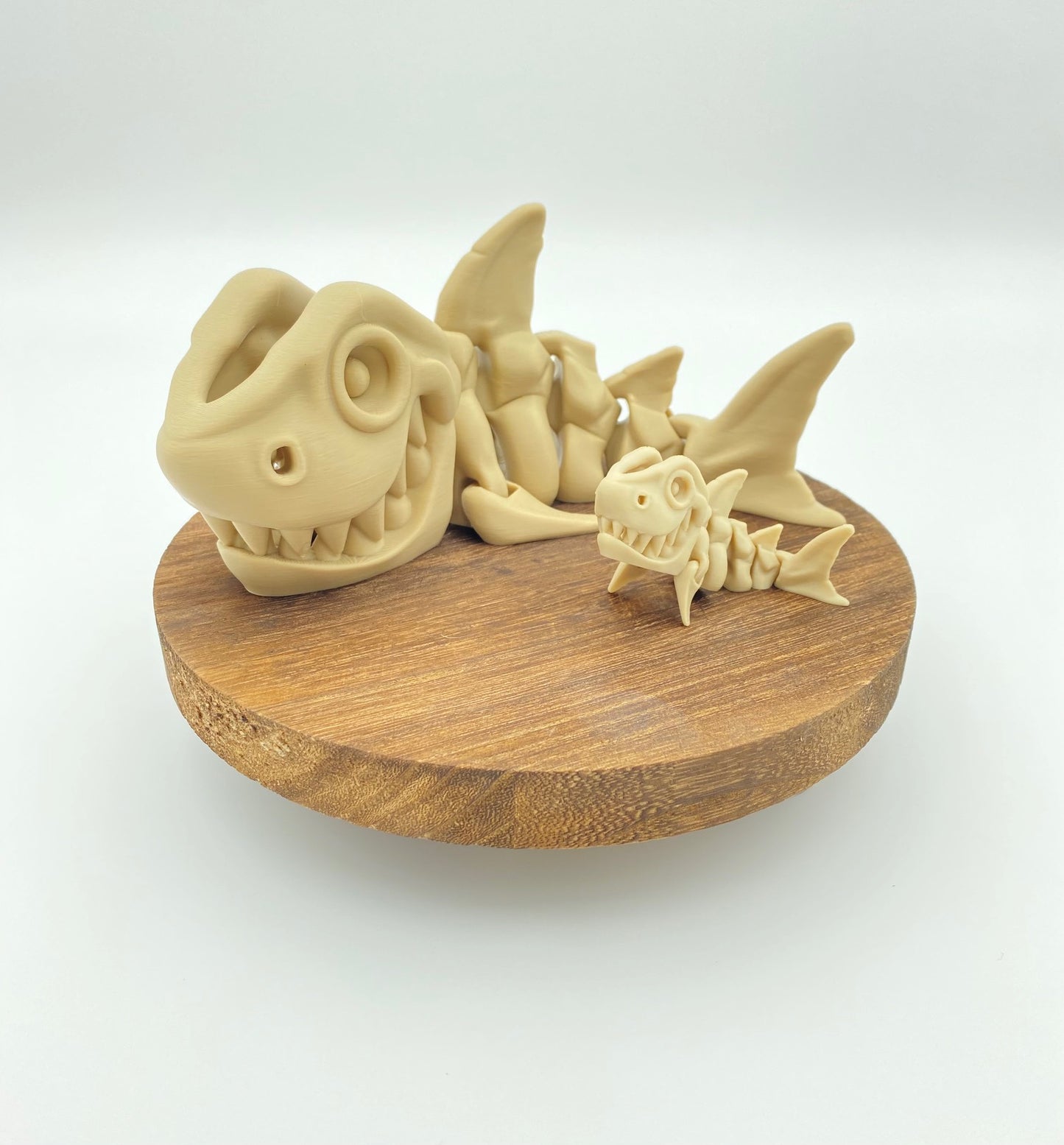 Jumbo Skeleton Shark