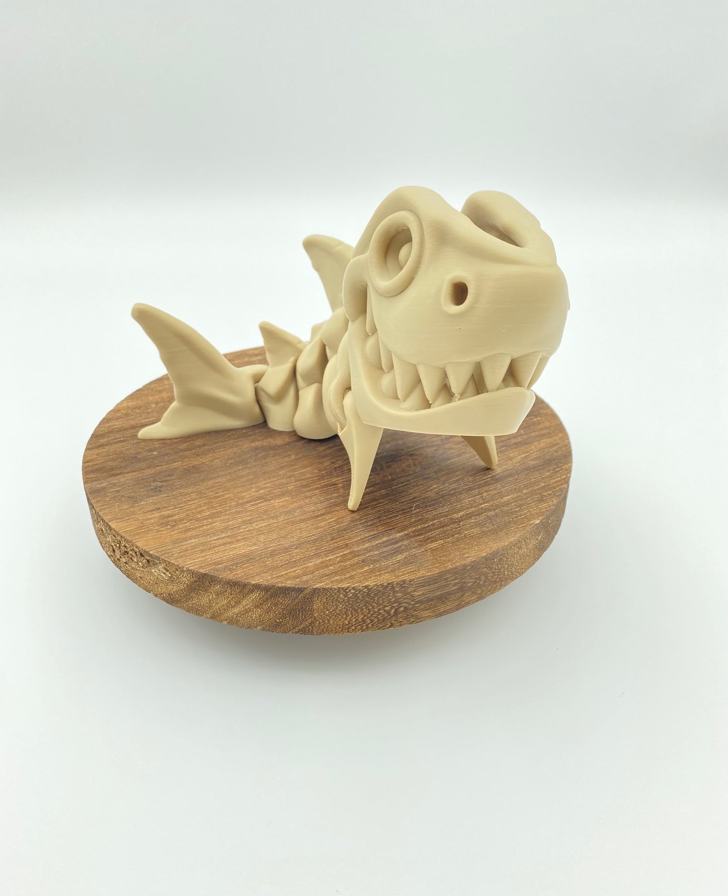 Jumbo Skeleton Shark