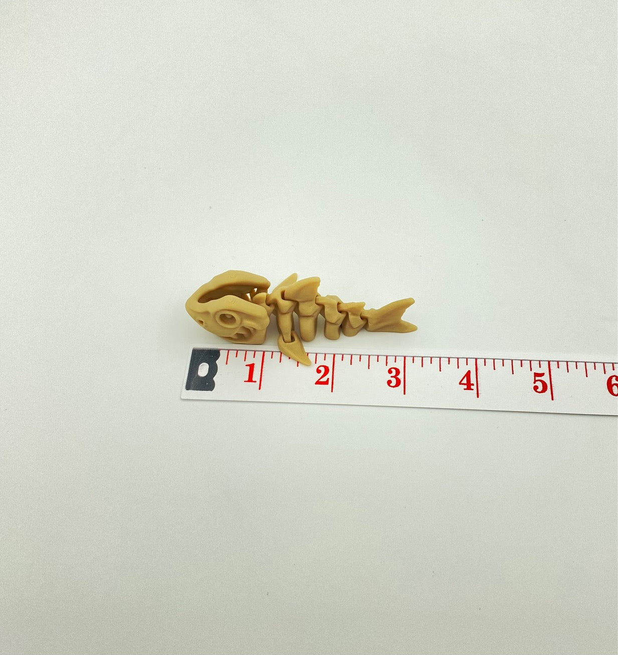 Skeleton Shark