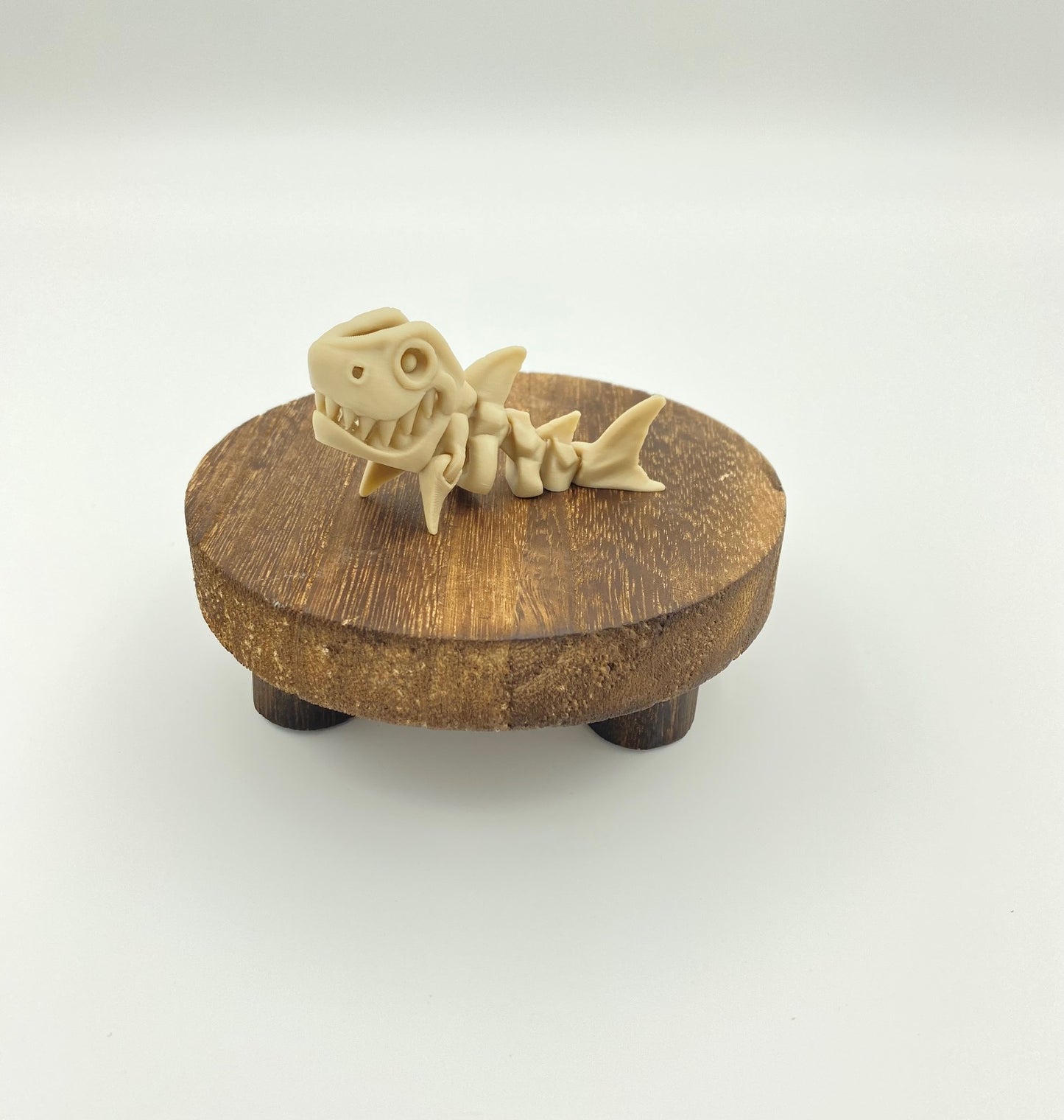 Skeleton Shark