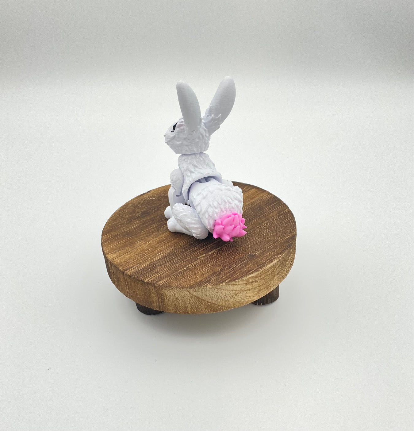 Bunnies