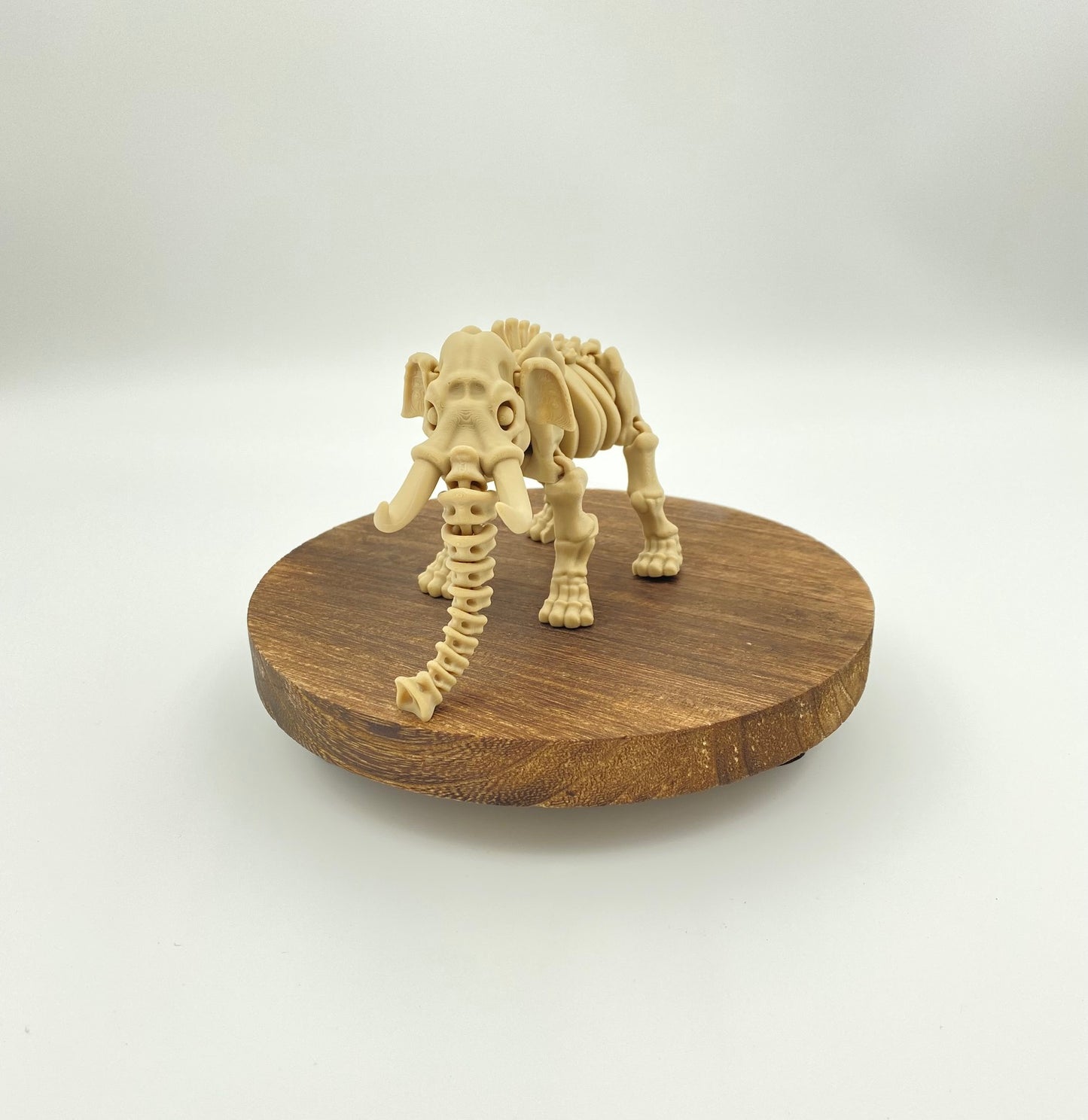 Skeletal Elephant