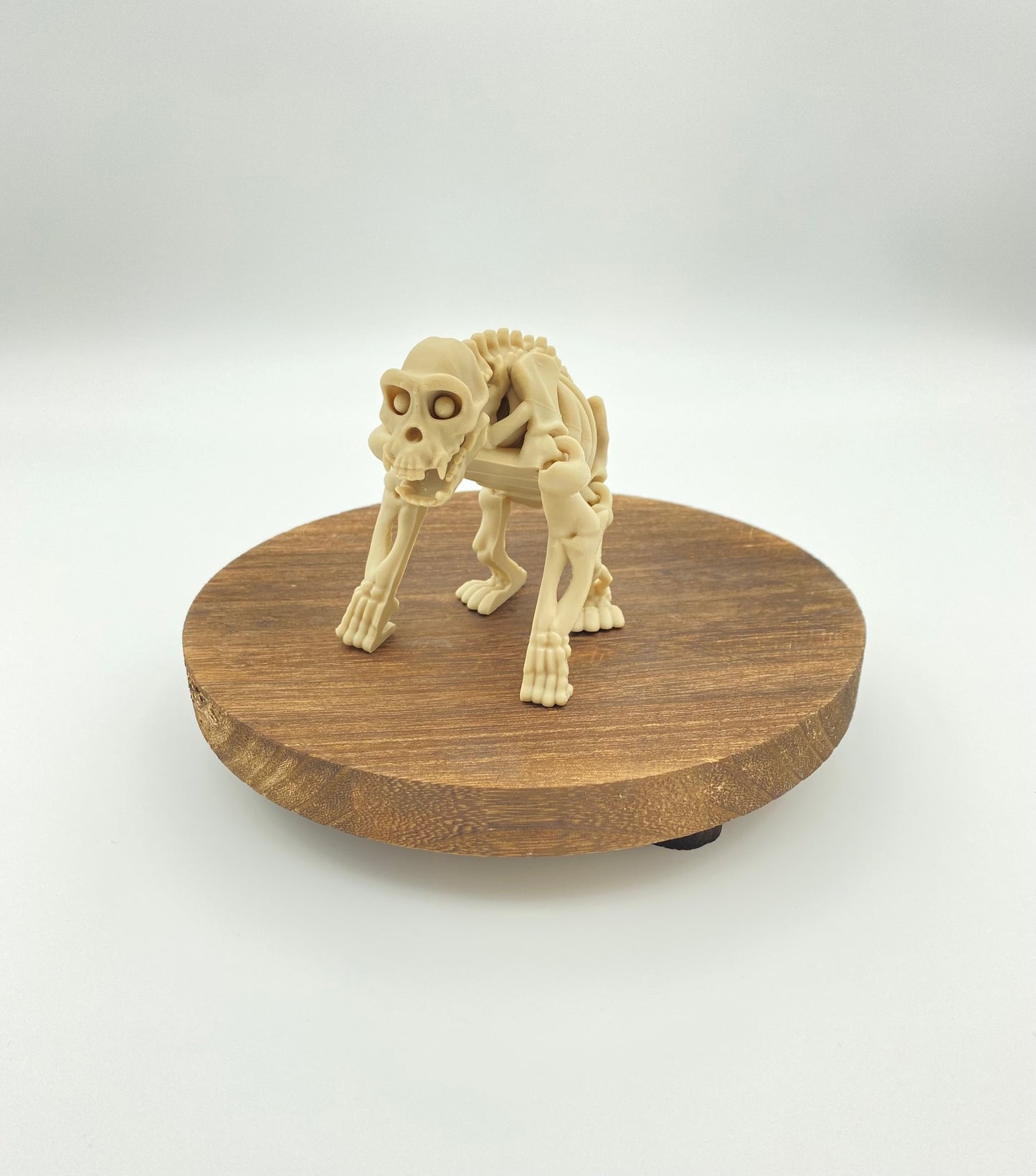 Skeletal Chimp