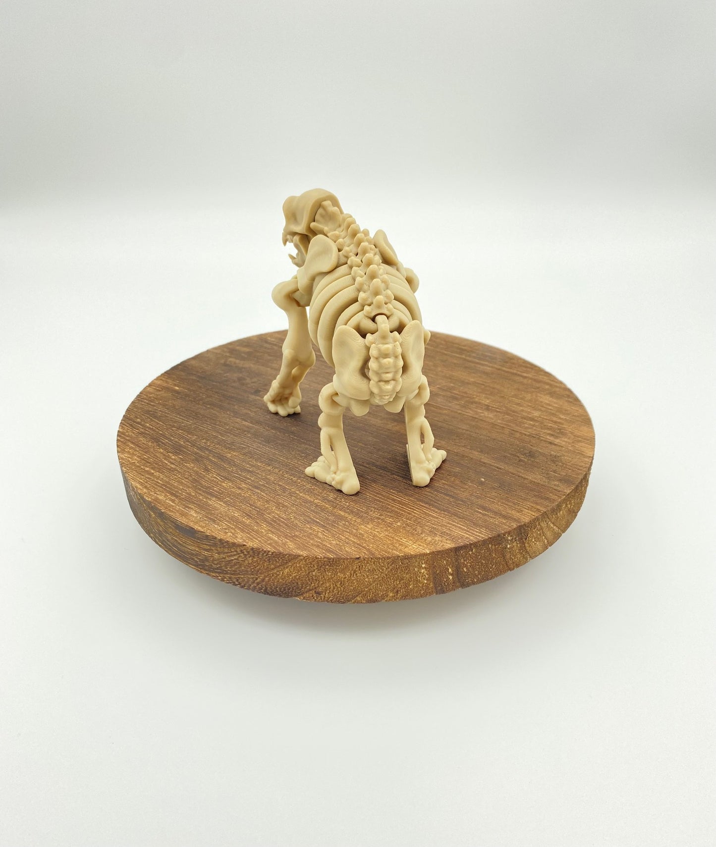 Skeletal Chimp