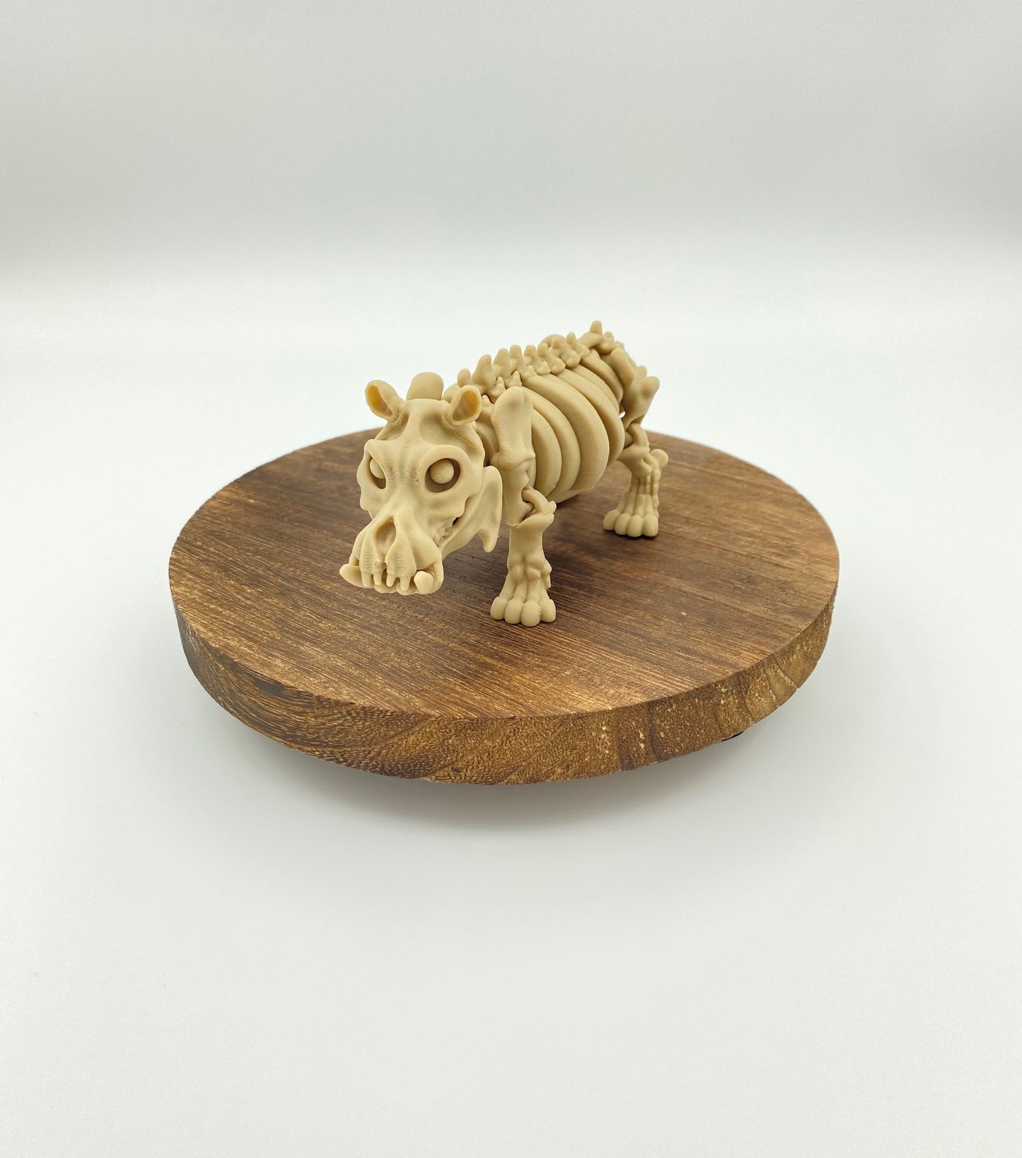 Skeleton Hippo