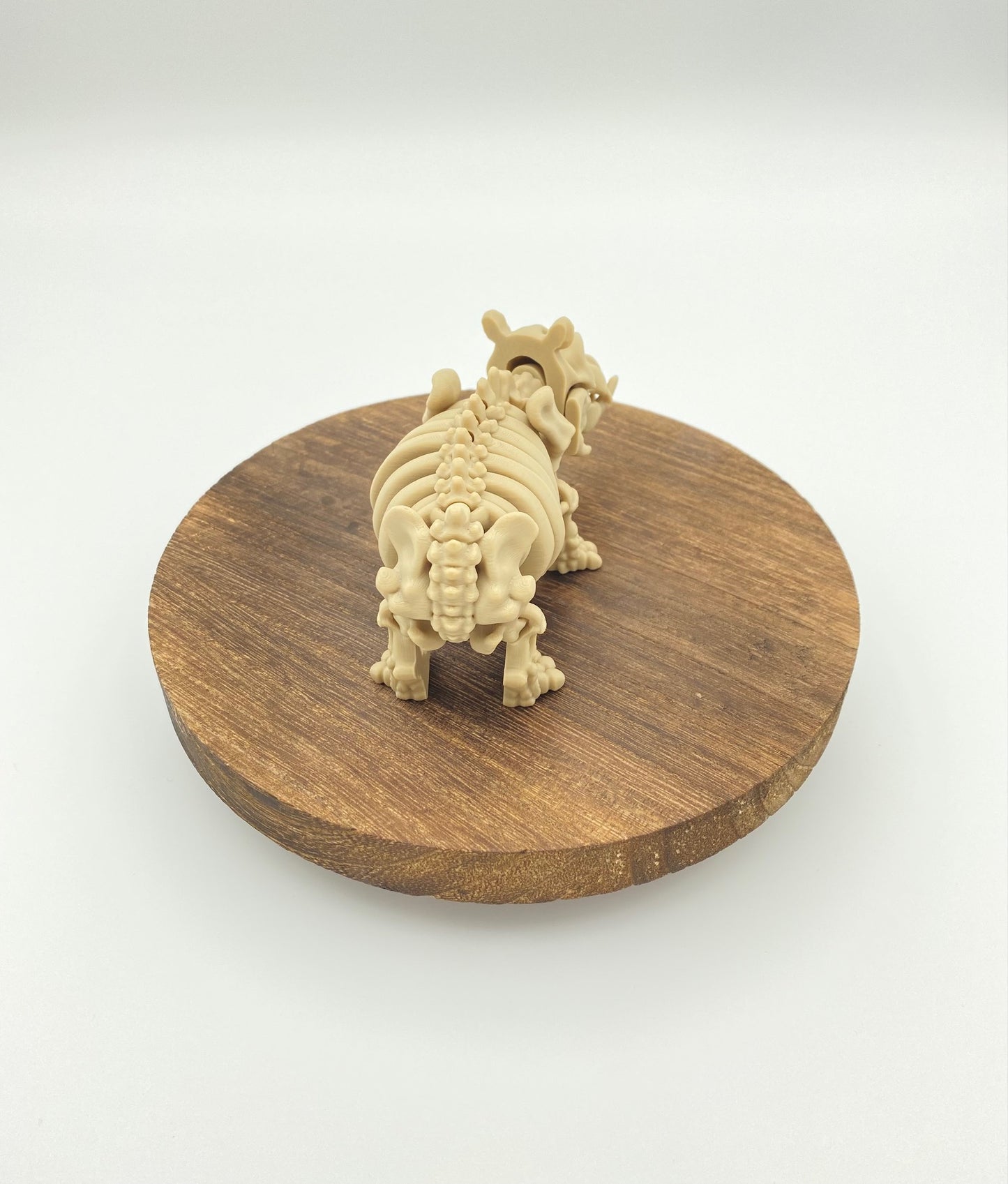 Skeleton Hippo