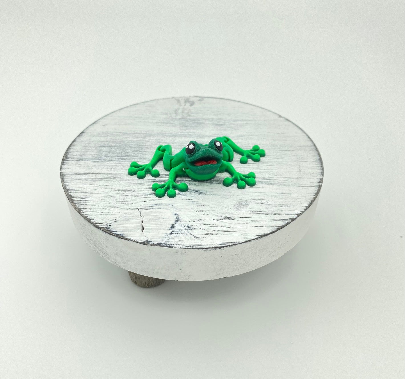 Tree Frog