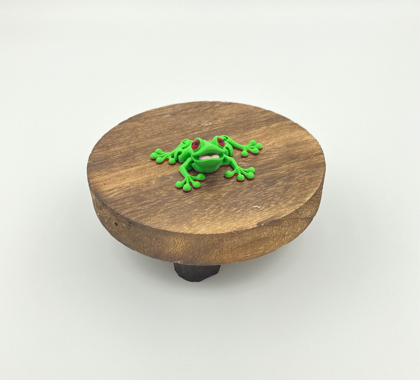 Tree Frog