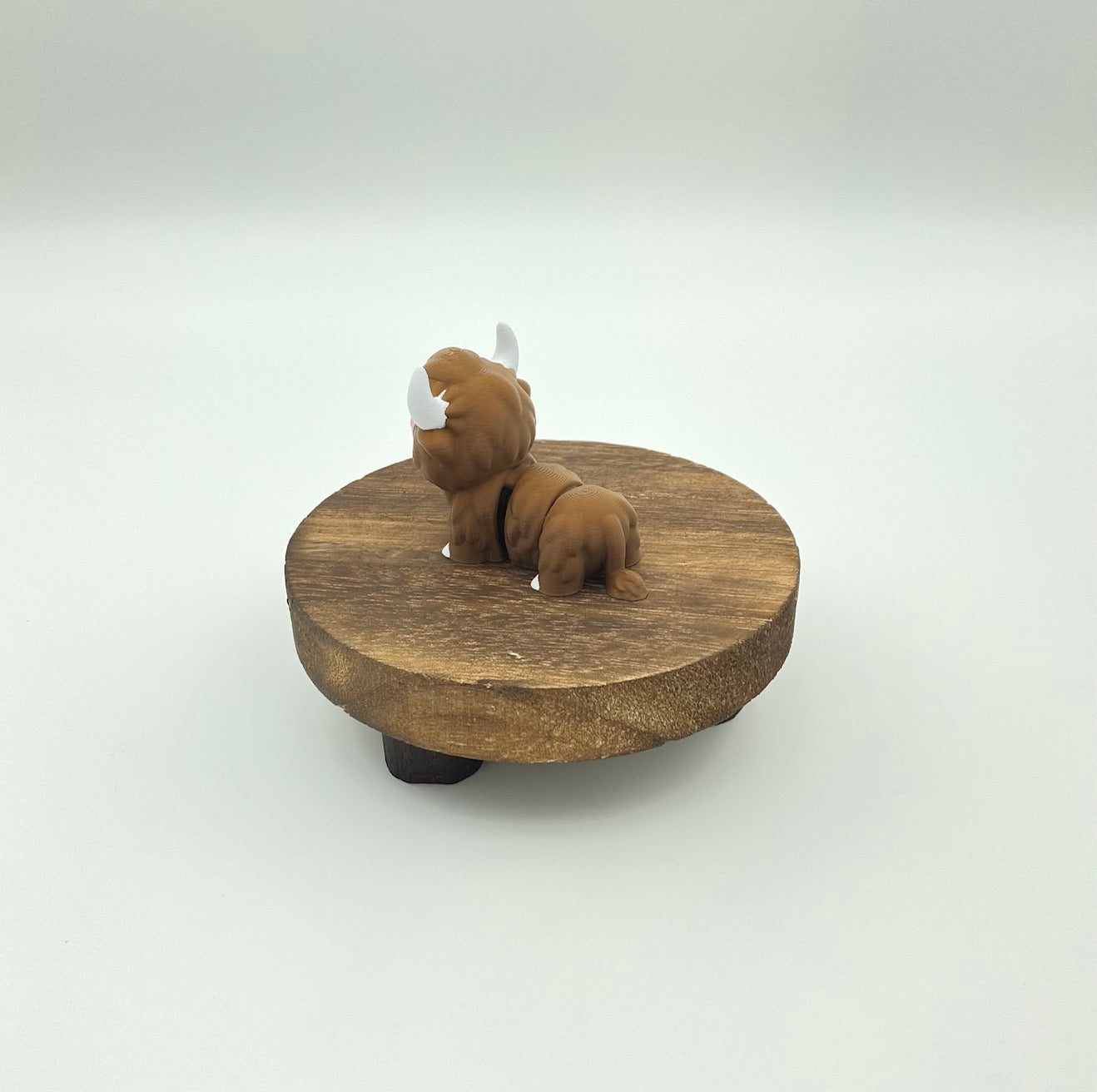 Highland Cow