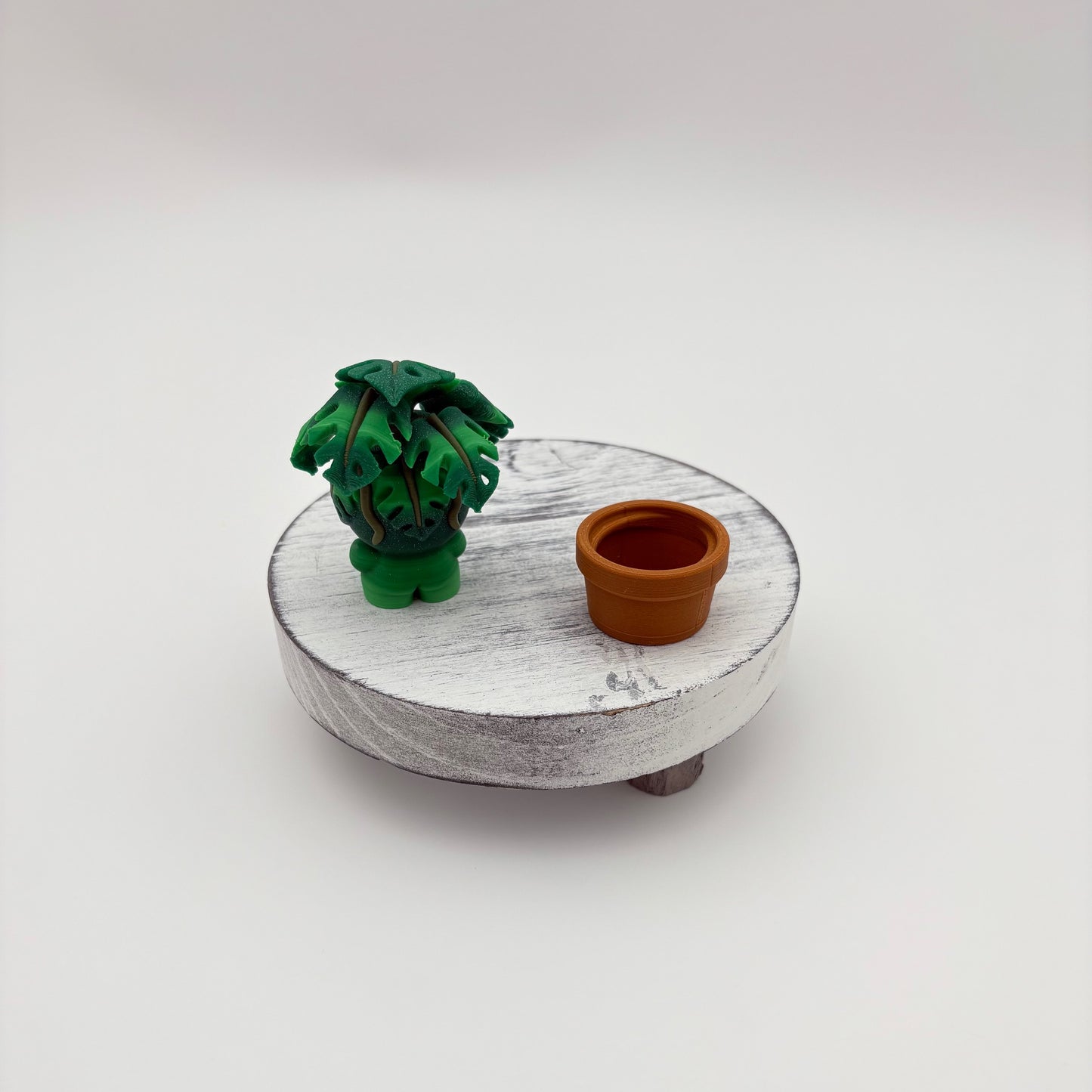 Mini Plant Collectibles - Cute 3D Printed Desk Plants | Monstera, Ivy, Succulent, Snake, Prickly Pear Collectible Decor