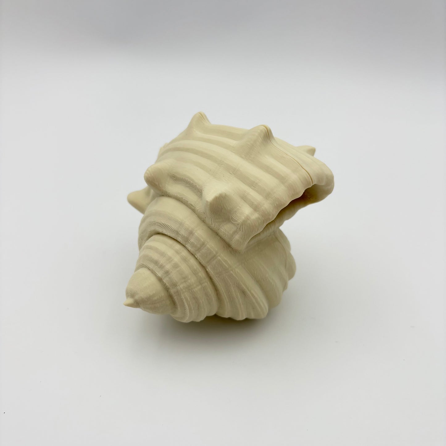 Hermit Crab – Articulated Ocean Creature