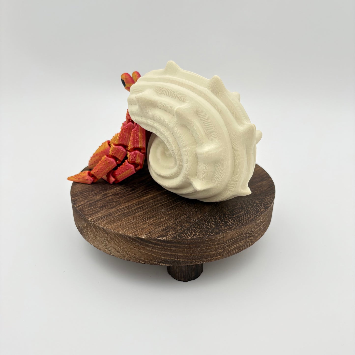 Hermit Crab – Articulated Ocean Creature