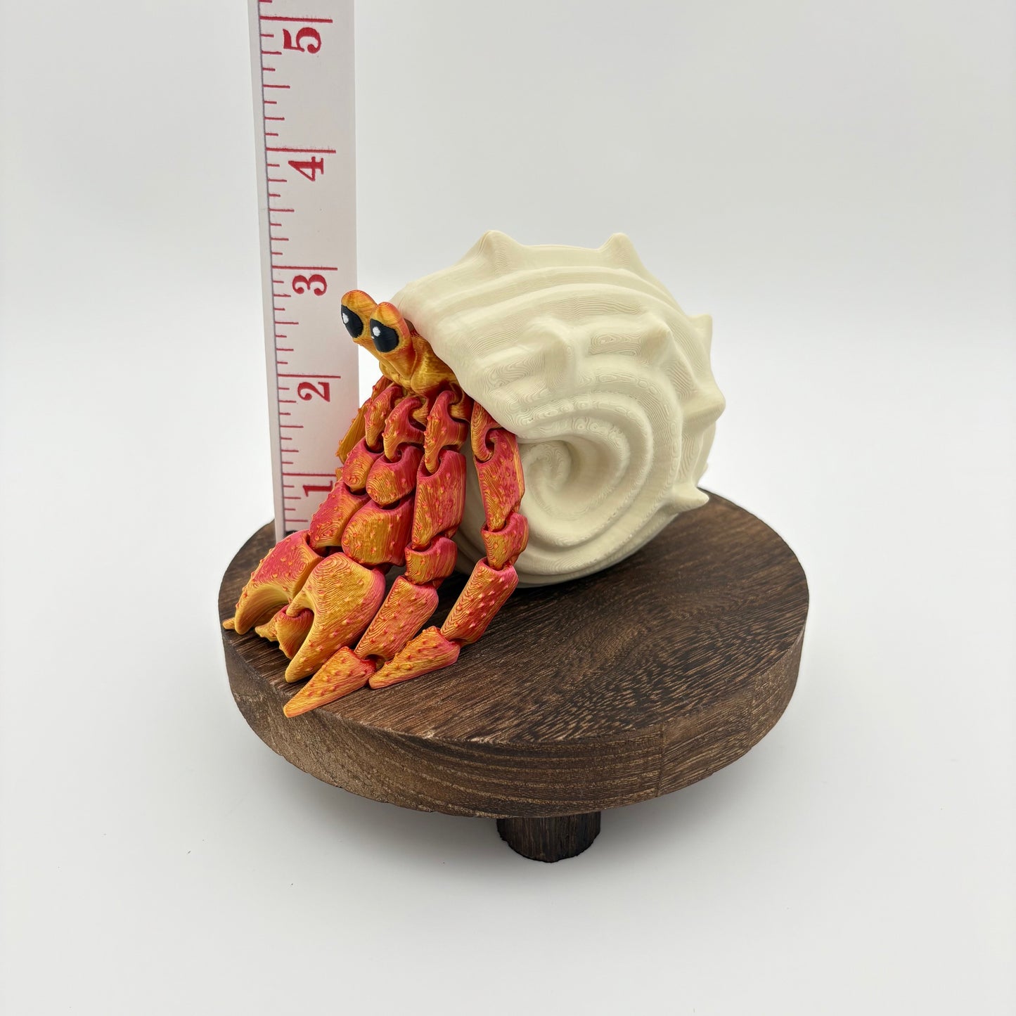 Hermit Crab – Articulated Ocean Creature